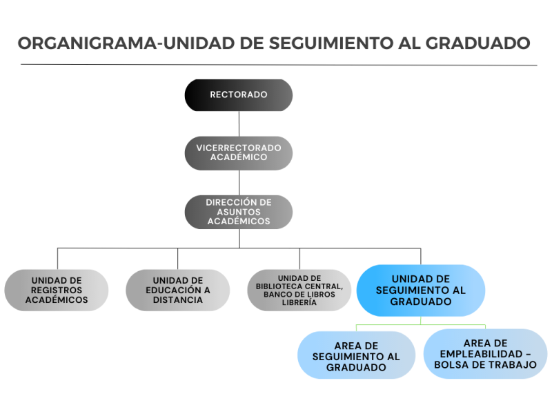 ORGANIGRAMA-USG